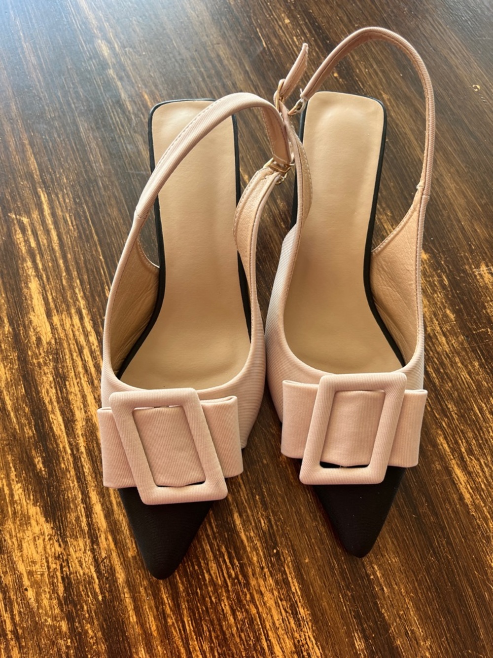Two-Tone Pointed Slingback Heels with Decorative Buckle in Blush and Black